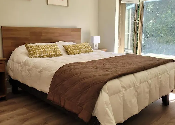 Comodo Apartamento Cerca De Pucon
